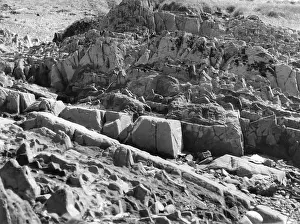 Tides: GIRVAN ROCK FORMATION