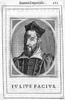 Giulio: GIULIO PACIO DE BERIGA