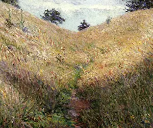 Cabot: Giverny Hillside