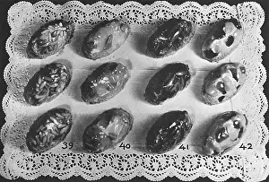 Glace: Glace Cream Bonbons