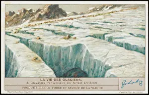 Liebig: GLACIERS (LIEBIG) 3
