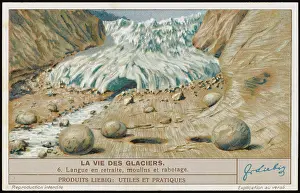 Liebig: GLACIERS (LIEBIG) 6
