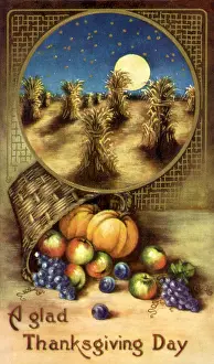 Bounty: Glad Thanksgiving