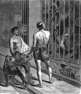 Caged: Gladiator Feeds Animals