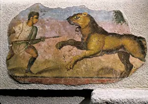 Rida: Gladiator fighting against a beast