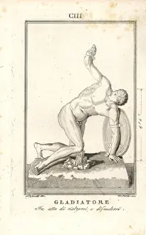 Capitolino: Gladiator standing up and defending himself with his arm