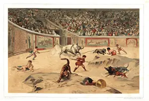 Ampitheatre: Gladiators fighting wild animals in Pompeii ampitheatre