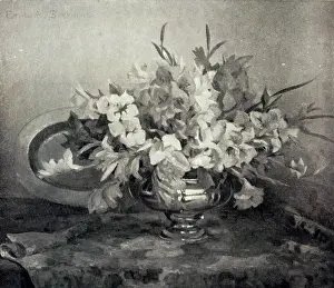 Gladioli: Gladioli