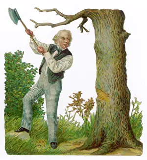 Fells: GLADSTONE FELLS A TREE