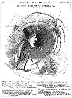 Reluctant: Gladstone Reluctant