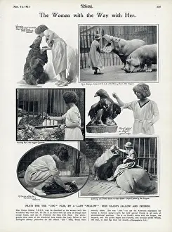 Zoos: Gladys Callow, The Woman with the Way with Her