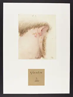 Blank: Glanders