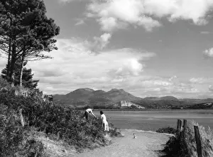 Borth: GLASLYN ESTUARY