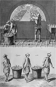 Verrerie: GLASS 18TH CENTURY 2
