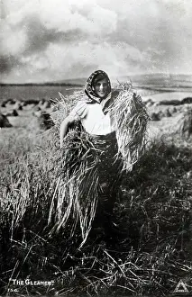 Stouks: The Gleaner - Harvest Time