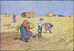 Gleaning: GLEANING FRANCE