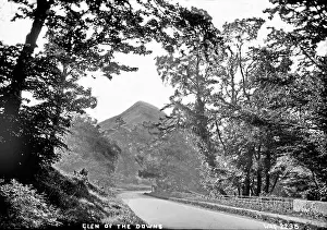 Downs: Glen of the Downs