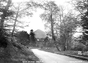 Downs: Glen of the Downs