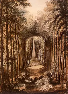 Dromore: The Glen at Dromore House, Co. Down