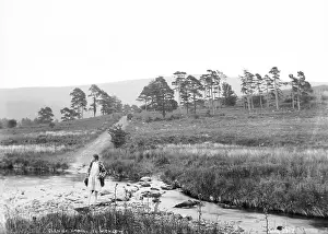 Glen: Glen of Imail, Co. Wicklow