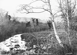 Glen: In the Glen of the Marble Arch