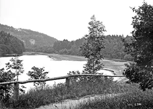 Surroundings: Glenasmole