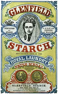 Exclusive: Glenfield Starch
