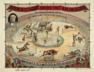 Showman: Glidden Steel Barb Wire - circus animals jumping