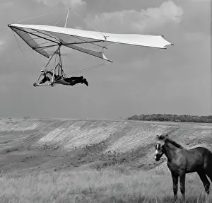 Gliding: Glider