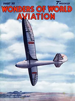 Bedfordshire: Glider Aircraft at National Gliding Contests, Dunstable
