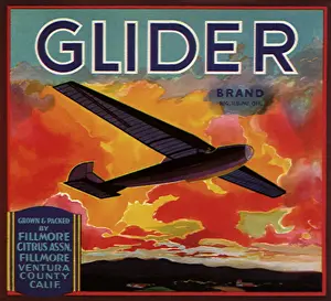 Seems: Glider at Sunset