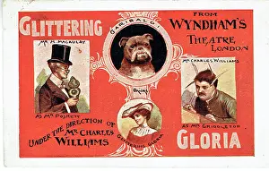 Macaulay: Glittering Gloria by Hugh Morton