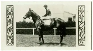 Jockeys: Gloaming, Australian race horse