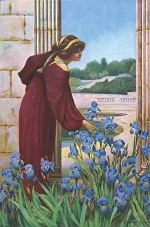 Idealised: THE GLORY OF SPRING