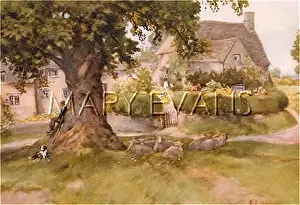 Crucis: GLOS/AMPNEY CRUCIS 1927