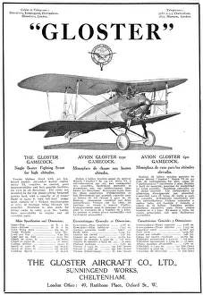 Gamecock: Gloster Gamecock 1925