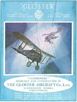Gamecock: Gloster Gamecock