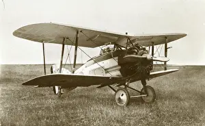 Gamecock: Gloster Gamecock