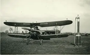 Gamecock: Gloster Gamecock