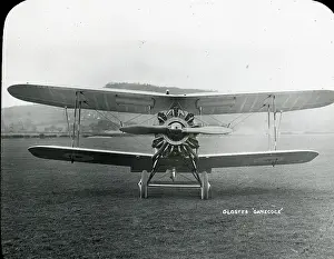 Gamecock: Gloster Gamecock