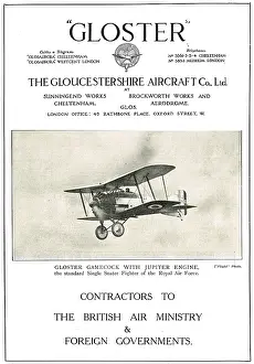 Gamecock: Gloster Gamecock - Bristol Jupoter Engine
