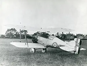 Gamecock: Gloster Gamecock I, J8033
