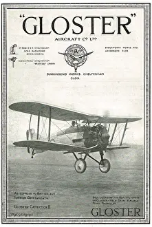 Gamecock: Gloster Gamecock II