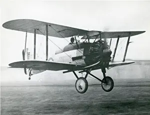 Gamecock: Gloster Gamecock II