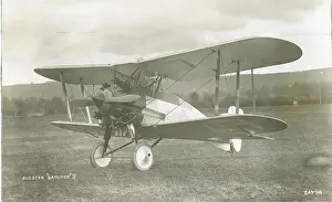 Gamecock: Gloster Gamecock II