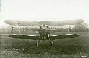 Gamecock: Gloster Gamecock II