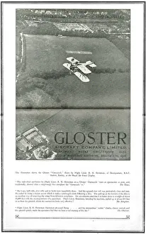 Kenley: Gloster Gamecock At RAF Display Kenley