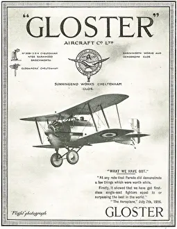 Gamecock: Gloster Gamecock Testimonials