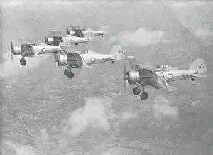 3sqn: Gloster Gladiator