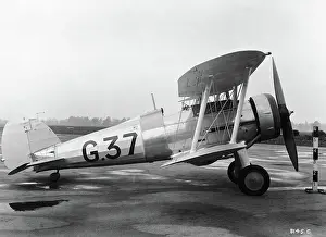 Ss.37: Gloster Gladiator SS-37 prototype